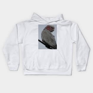 Galah Kids Hoodie